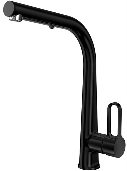 Смеситель для кухни Carlo Frattini Kitchen                                                    
                            F7026NS BLACK MATT F7026NS