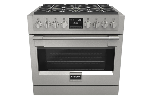 Духовой шкаф Fulgor SOFIA PROFESSIONAL                                                    
                            FSRC 3606 P MG ED 2F X FSRC 3606 P MG ED 2F X