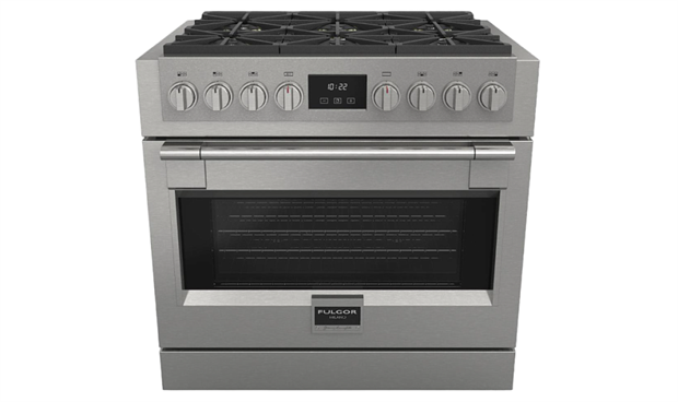 Духовой шкаф Fulgor SOFIA PROFESSIONAL                                                    
                            FSRC 3606 GG ED 2F X FSRC 3606 GG ED 2F X