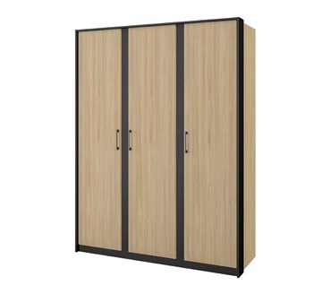 Шкаф для одежды Fortis МН-037-03 Стенли МН-037-03
