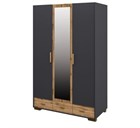 Шкаф для одежды Fortis МН-036-33(1) Сканди Графит МН-036-33(1)